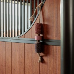 Grooming Deluxe Wooden Relax Horse Toy Salt Stone Sammy