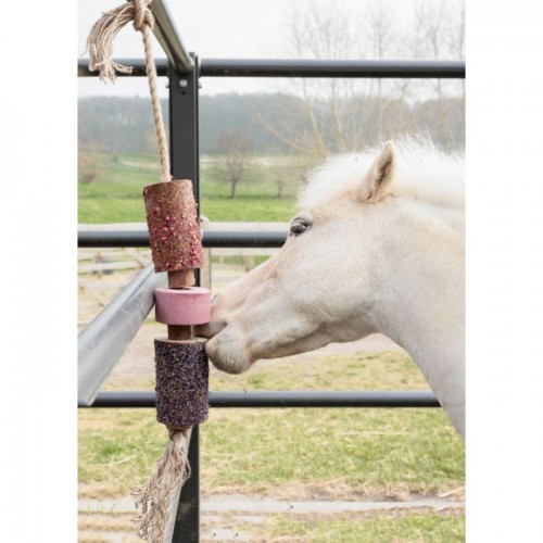 Grooming Deluxe Wooden Relax Horse Toy Salt Stone Sammy