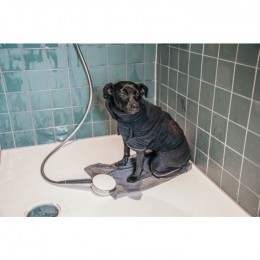 Kentucky Dog Coat Towel