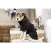 Kentucky Dog Coat Towel