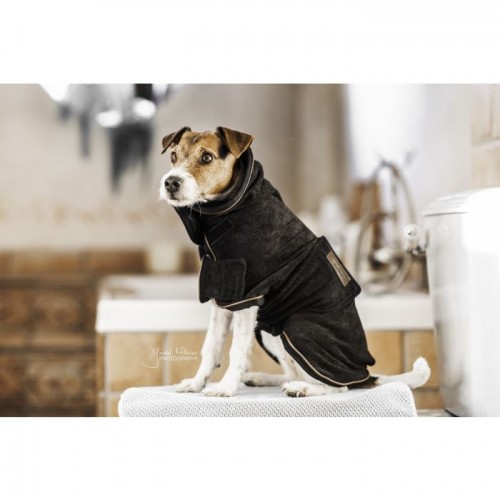 Kentucky Dog Coat Towel