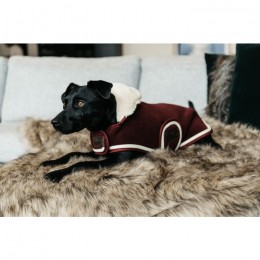 Kentucky Dog coat heavy fleece
