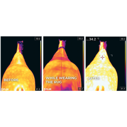 Kentucky Magnetic Rug Recuptex