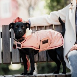 Kentucky Dog Coat Waterproof Coral