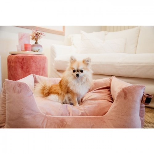 Kentucky Dog Bed Velvet