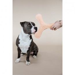 Kentucky Dog Toy Pastel Boomerang