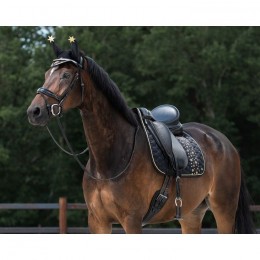 QHP Ear Net Celebrate