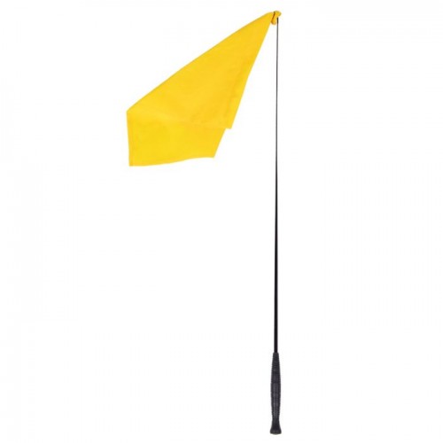 QHP Training stick with flag