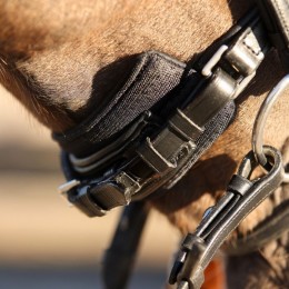 QHP Chin pad Air Mesh