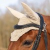 QHP Ear Net Salerno