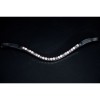 HB Showtime Browband Magic A-pony