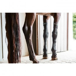 Catago SS'23 FIR-Tech Stocking front legs