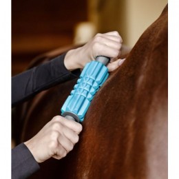 Waldhausen Health   Care massage rollers Fascia Fit