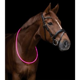 Waldhausen LED collar