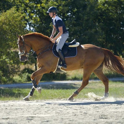 Kavalkade Maximus riding boots