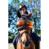 eQuick eVysor