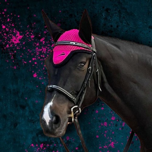eQuick Earnet