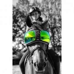 eQuick eVysor Lenses