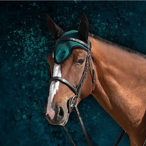 eQuick Earnet