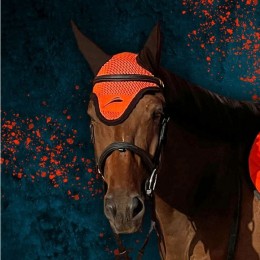 eQuick Earnet