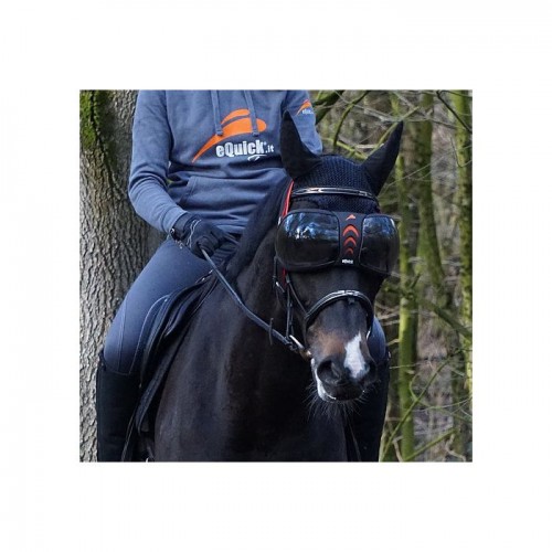 eQuick eVysor