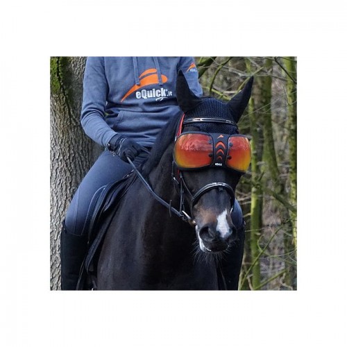 eQuick eVysor