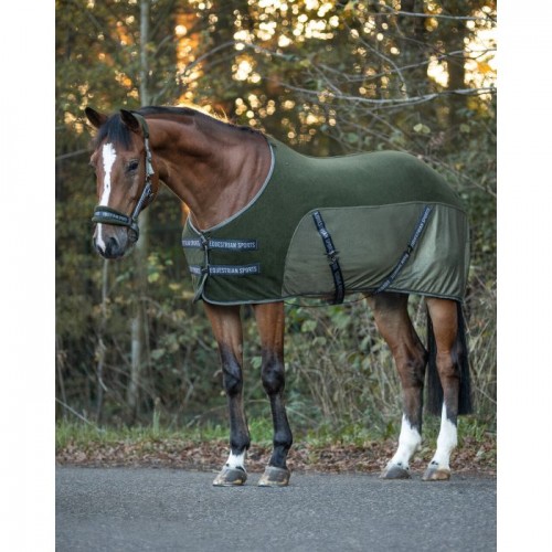QHP Rug mesh Jorine