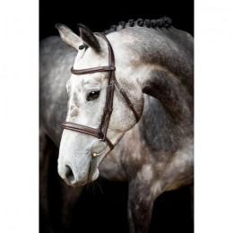 Montar bridle Hunter