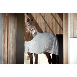 Catago Bamboo summer sheet