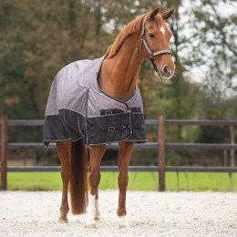 QHP FW'24 Turnout Rug Collection 150gr