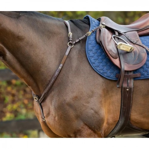 Dyon Breastplate Bridge