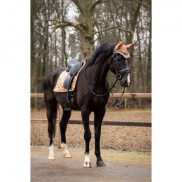 HB Showtime Saddle Pad Rio Collection