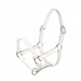 HB Leather Baby Foal Halter