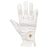 BR Gloves Glory Pro