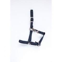 HB Pony Foal Halter Astrid