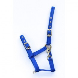 HB Nylon Foal Halter