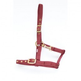 HB Nylon Foal Halter