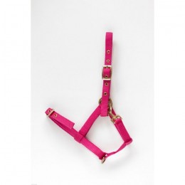 HB Nylon Foal Halter