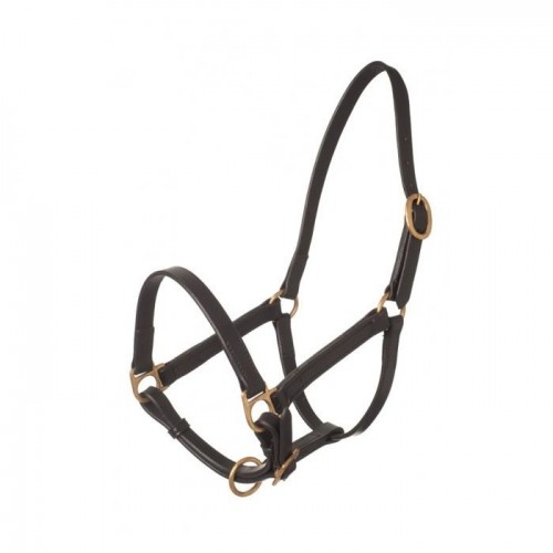 HB leather halter Big Foal