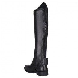 QHP Chap Shimmer Junior