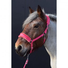 HB Halter Teddy XX-Full