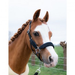 HB Showtime Velvet Glitter Halters Little Sizes