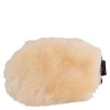 BR Grooming Glove