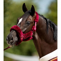 HB Showtime Rose Gold Allround Fluffy Halter