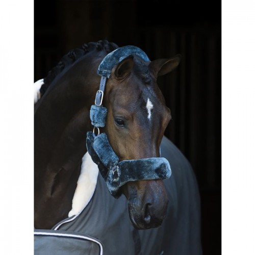 HB Showtime Allround Fluffy halter