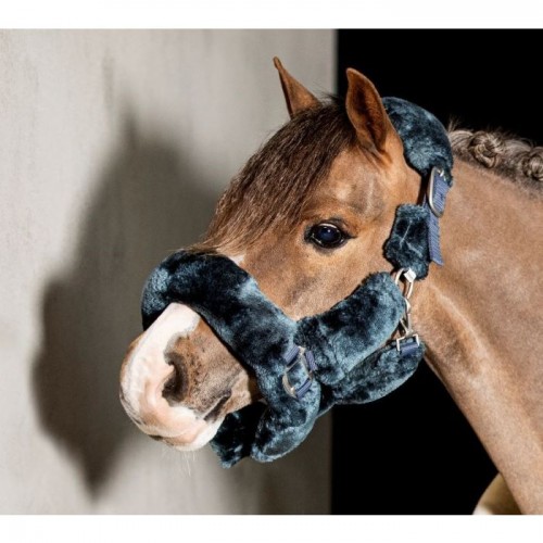 HB Showtime Allround Fluffy halter