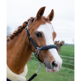 HB Showtime Halter Little Sizes Leather Glitty