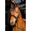 HB Showtime Halter Wisconsin