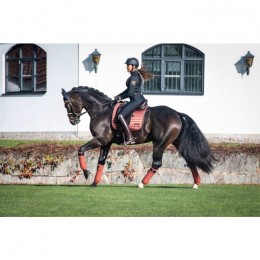 Equito Dressuur Saddlepad Cinnamon Spice