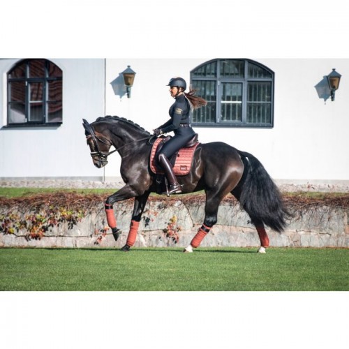 Equito Dressuur Saddlepad Cinnamon Spice